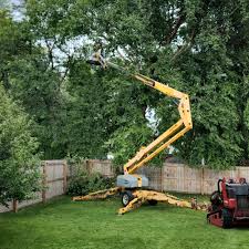 Best Tree Disease Treatment  in Manchester, MD