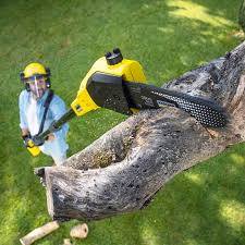 Best Aeration Services  in Manchester, MD