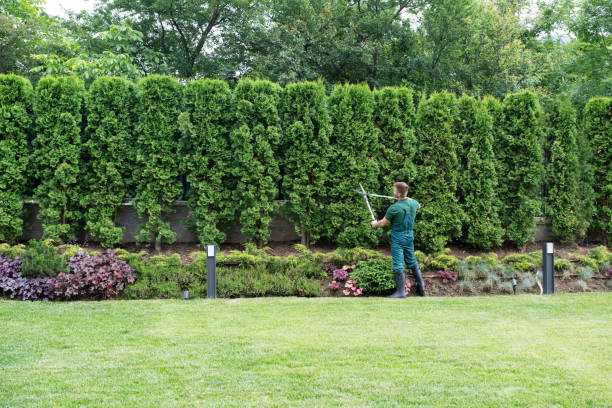Best Sod Installation  in Manchester, MD
