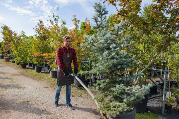 Best Hazardous Tree Removal  in Manchester, MD